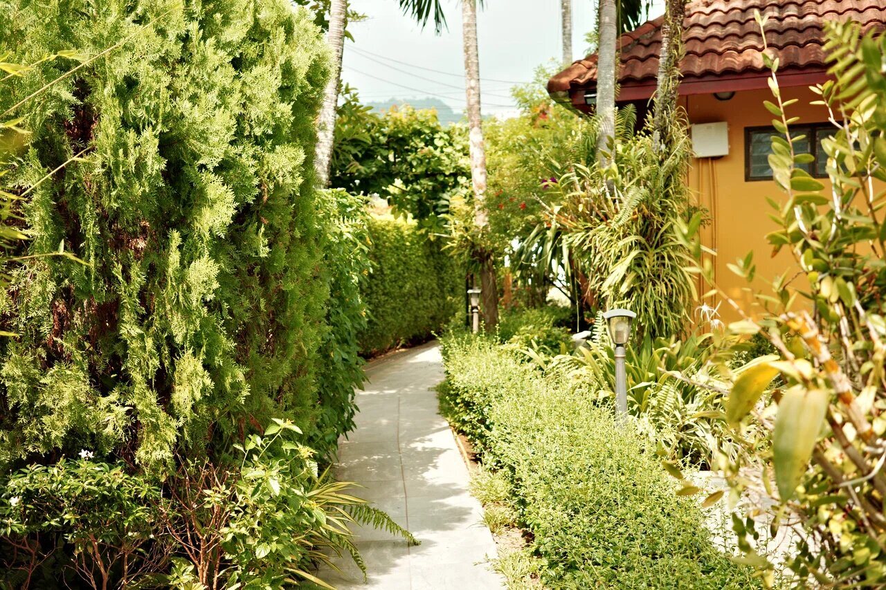 Family Bungalow — 30